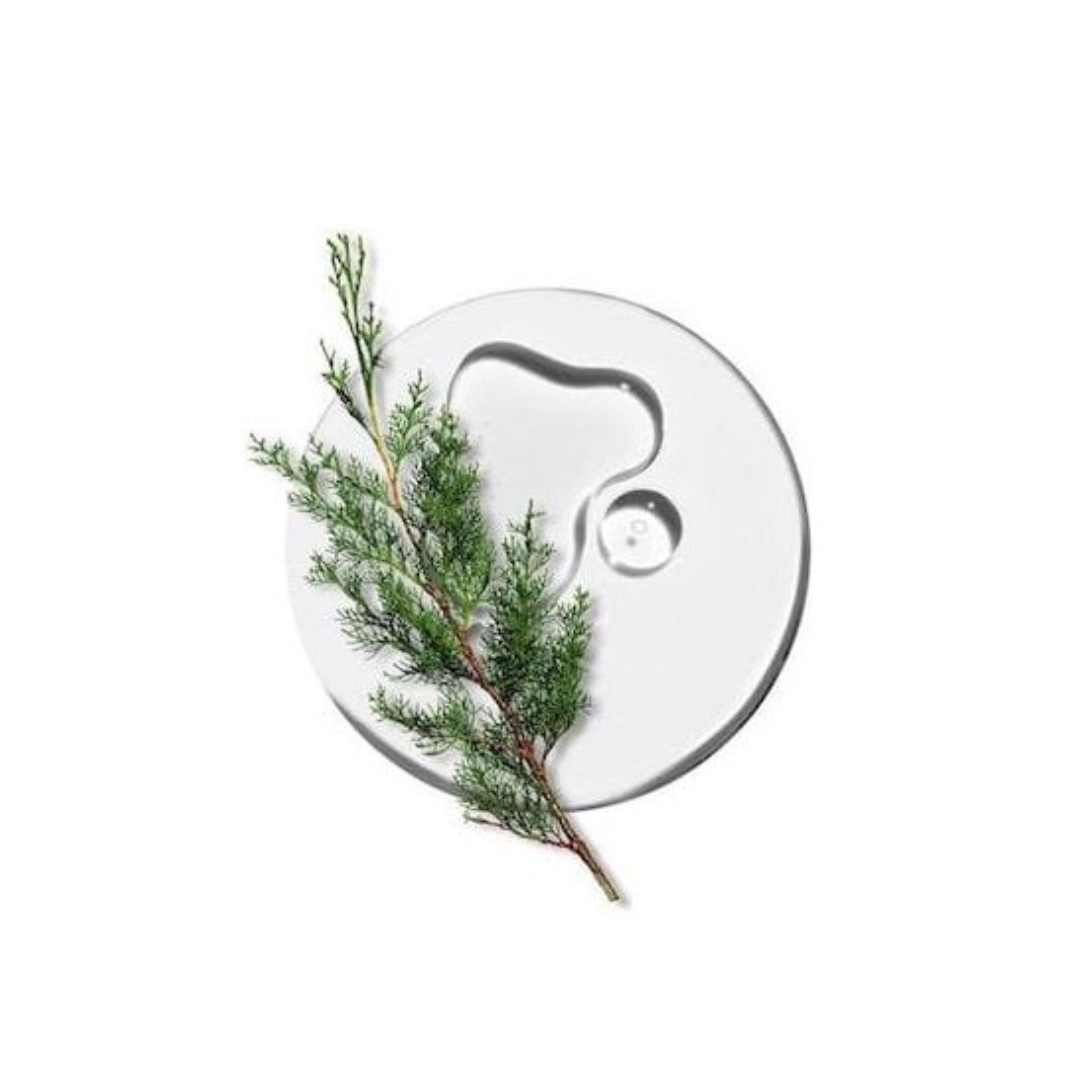 Cedar Unclin® Plant Based Organic Essential Oil