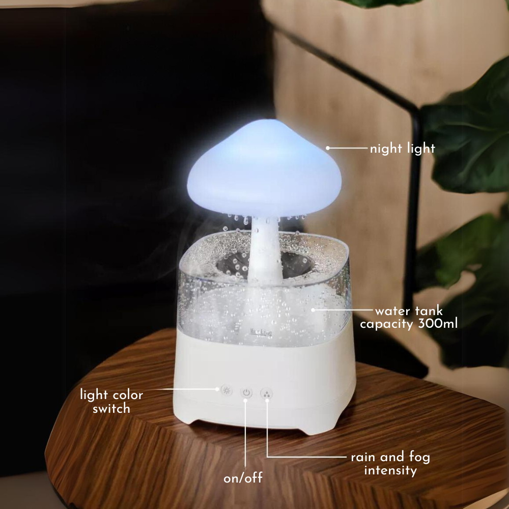 RAIN Humidifier