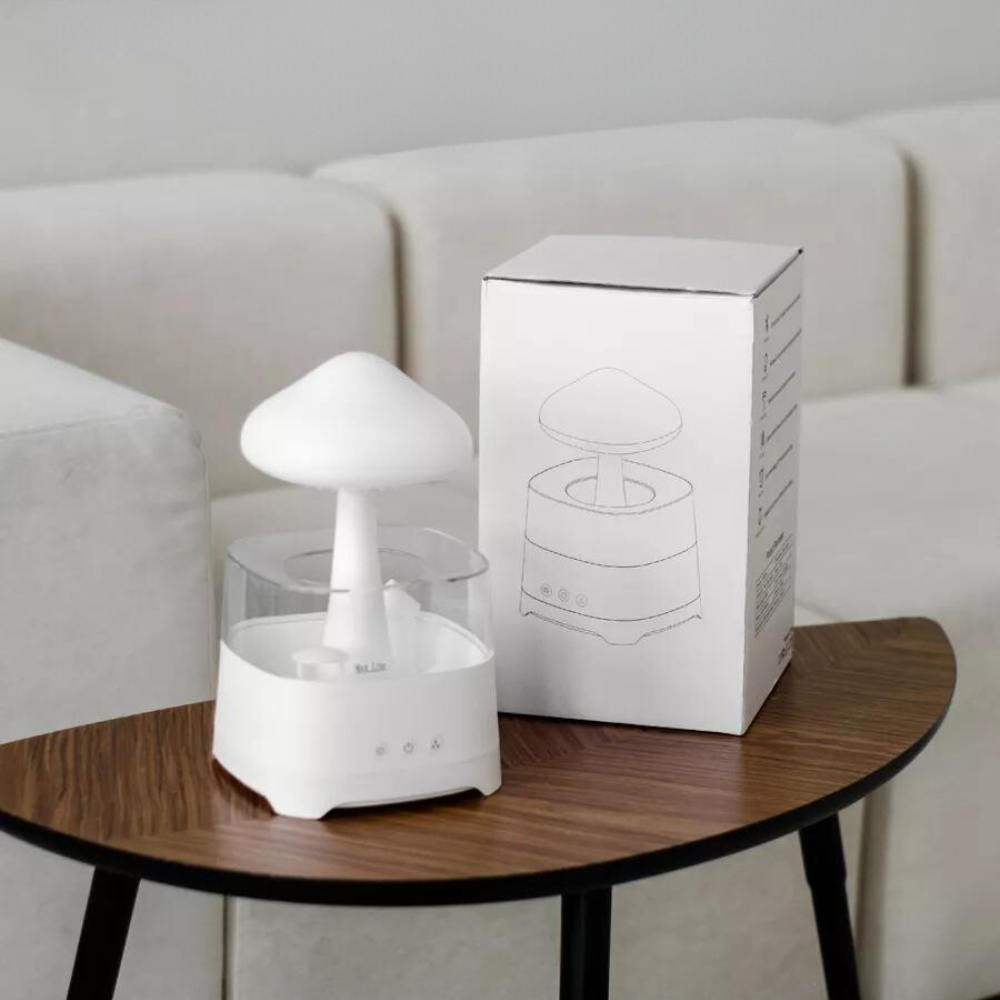 RAIN Humidifier