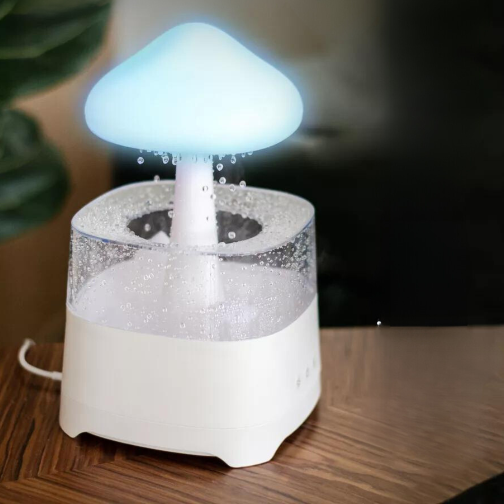 RAIN Humidifier