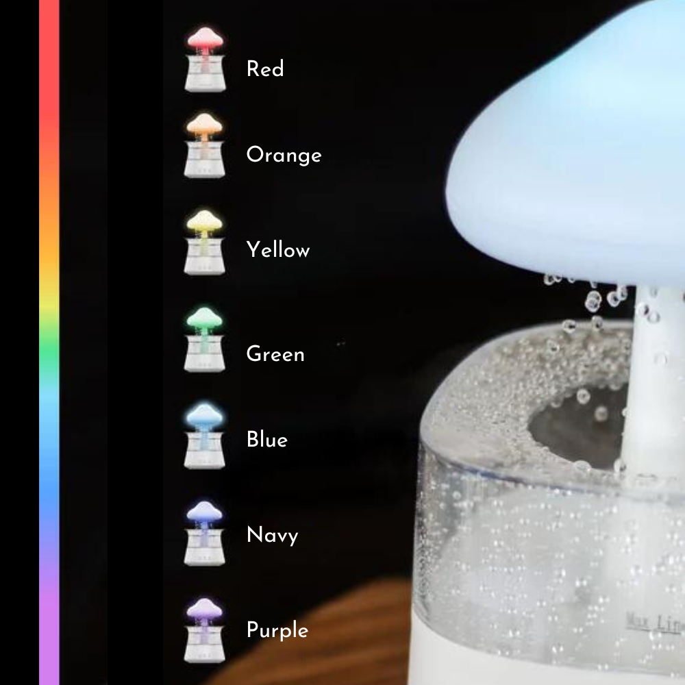 RAIN Humidifier