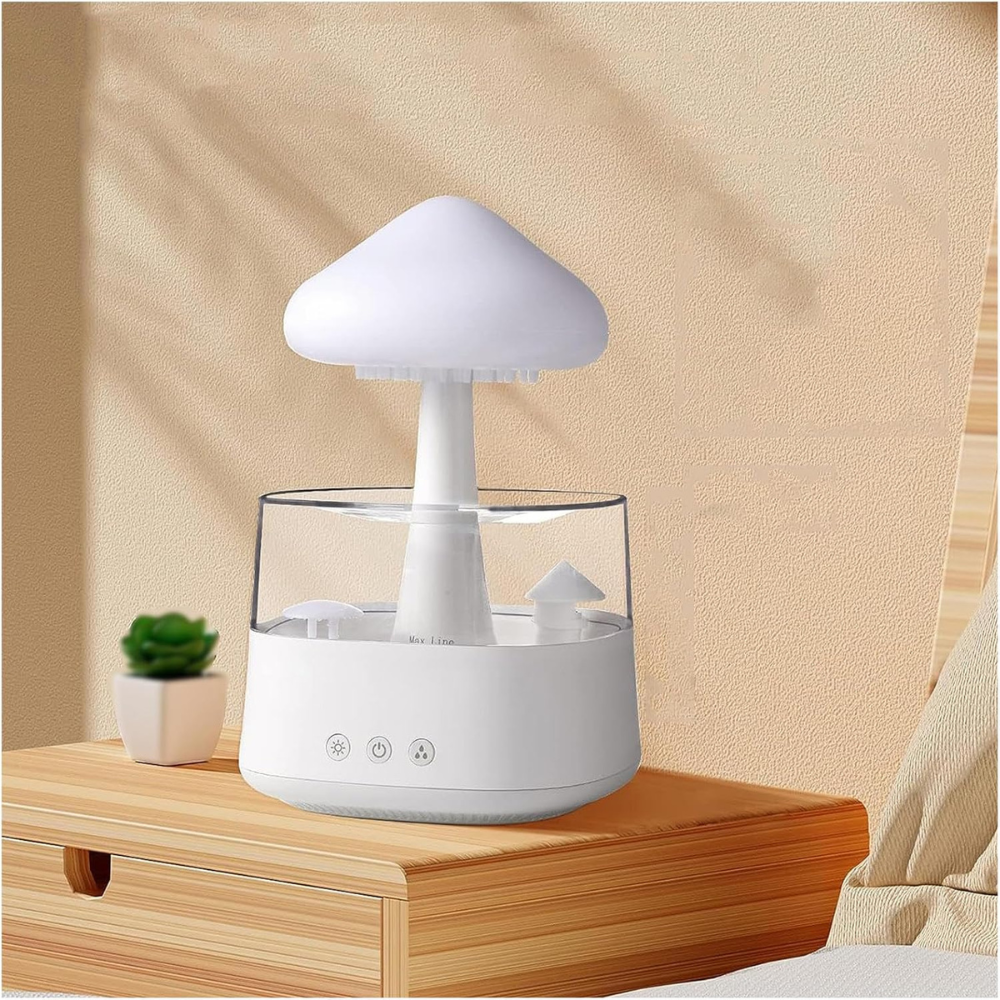 RAIN Humidifier